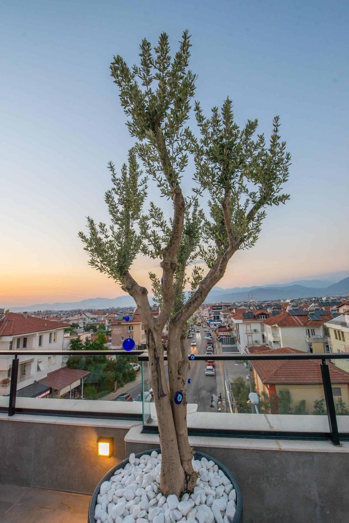 Belci City House Fethiye Buitenkant foto